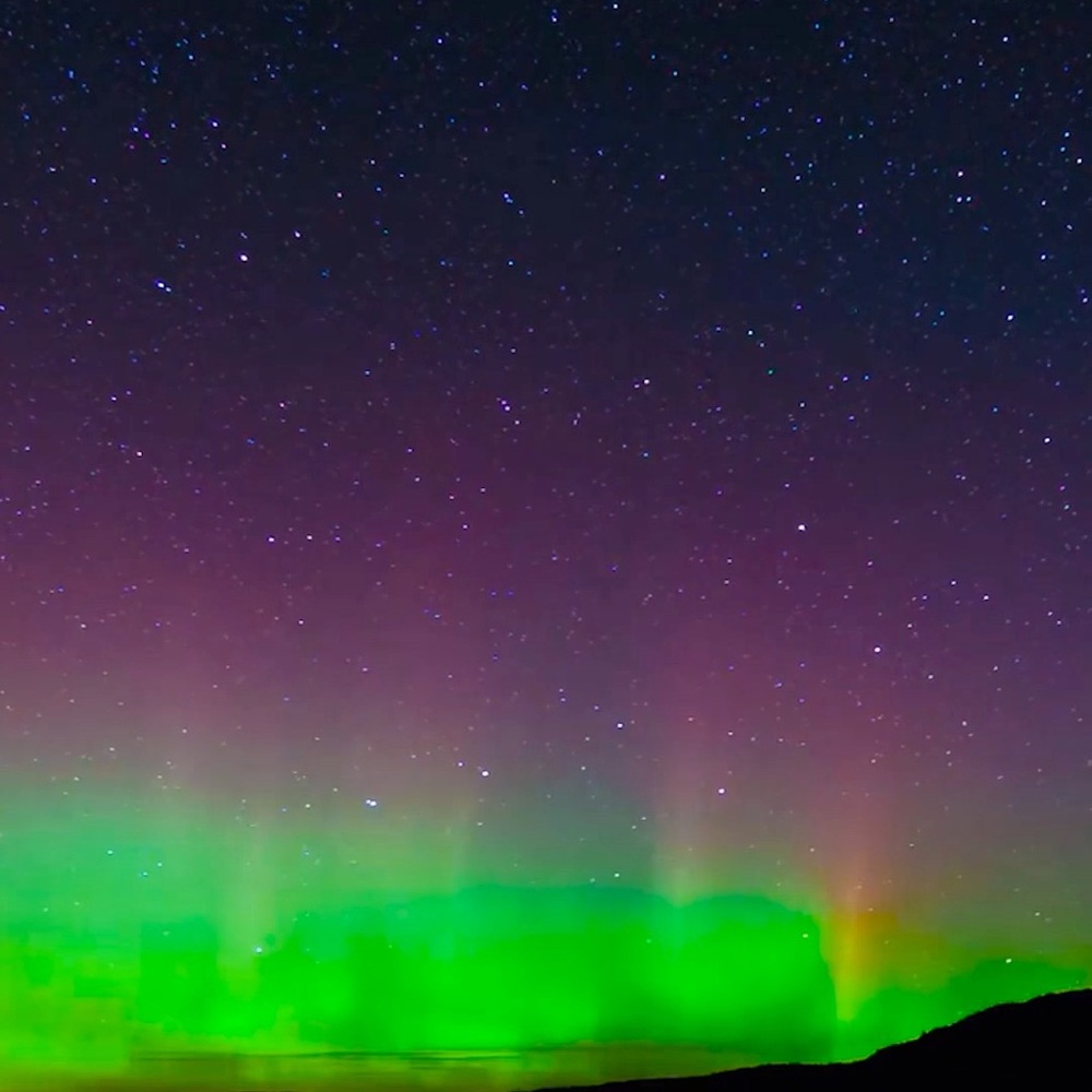 Meet your Posher, Traviesha